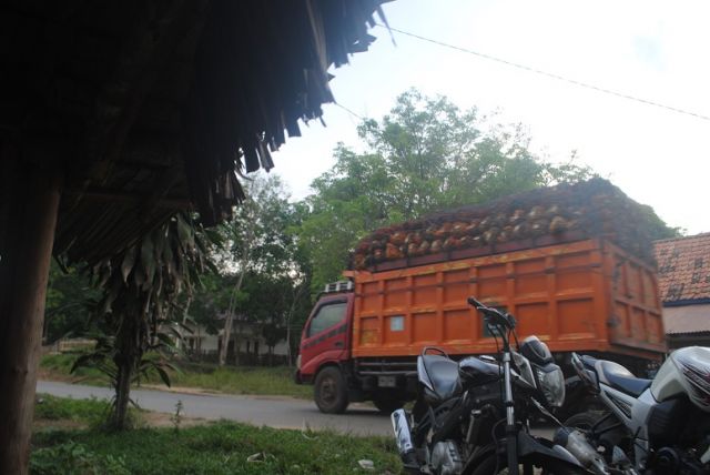 Sudah Buat Kesepakatan, Angkutan Sawit PT GBS Masih Bandel